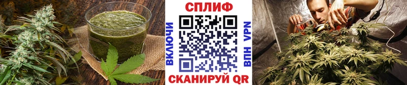 Печенье с ТГК конопля Шуя