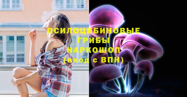 бошки Сатка