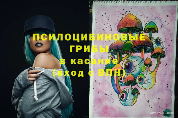 бошки Сатка