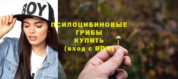 а пвп мука Саяногорск