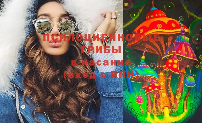 omg маркетплейс  Шуя  Псилоцибиновые грибы Psilocybine cubensis 